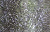 Castlecaulfield fibreglass roof work